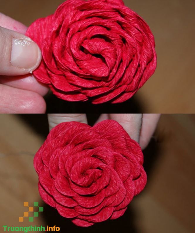                       Cách làm hoa hồng bằng giấy nhún đơn giản mà cực kỳ đẹp