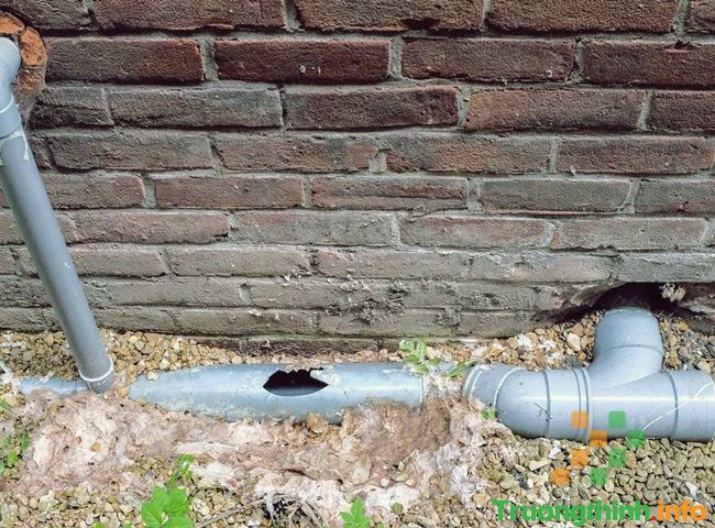 Sửa Điện Nước Đường Tân Thới Nhất Quận 12 2 Sửa Điện Nước Đường Tân Thới Nhất Quận 12