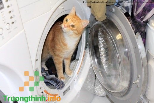 Sửa Máy Giặt Không Lên Nguồn Quận Tân Phú