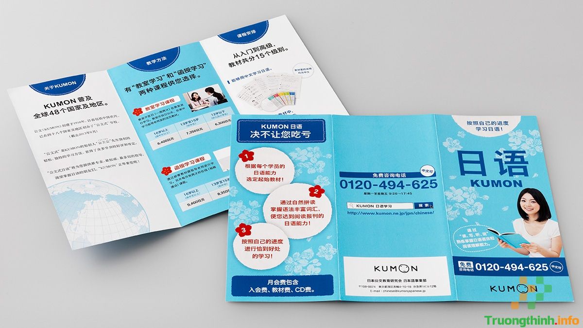  Dịch Vụ Thiết Kế Catalogue - Brochure Quận 1