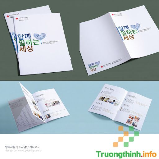 Dịch Vụ Thiết Kế Catalogue – Brochure Quận 3