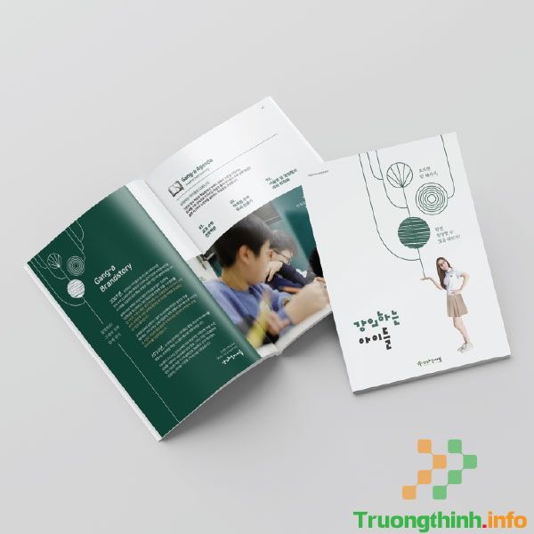 Dịch Vụ Thiết Kế Catalogue – Brochure Quận 5