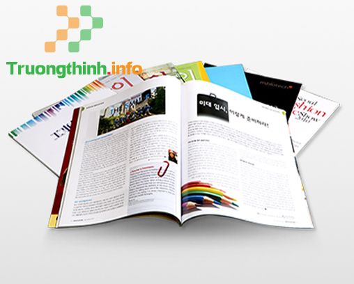  Dịch Vụ Thiết Kế Catalogue - Brochure Quận 7