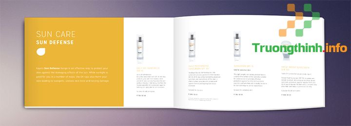  Dịch Vụ Thiết Kế Catalogue - Brochure Quận 8