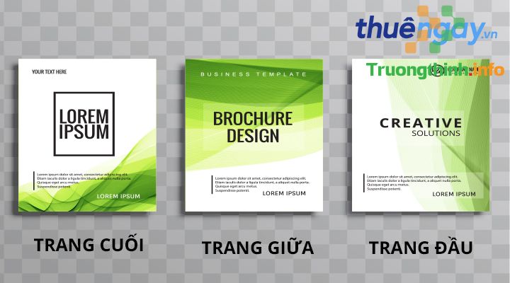  Dịch Vụ Thiết Kế Catalogue - Brochure Quận 8