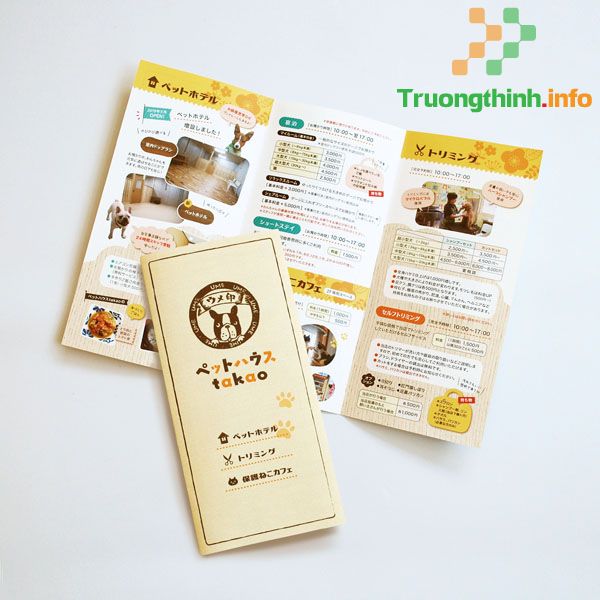 Dịch Vụ Thiết Kế Catalogue – Brochure Huyện Hóc Môn