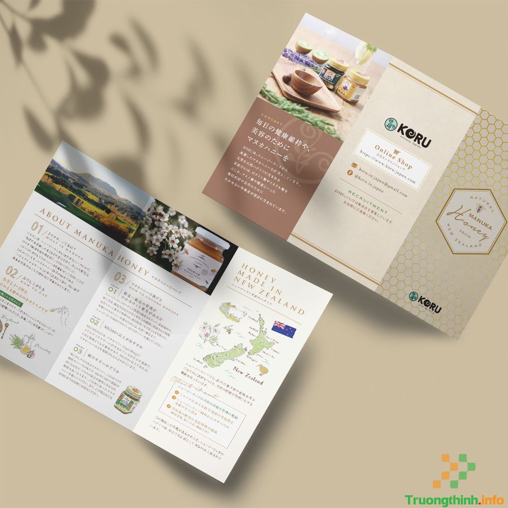  Dịch Vụ Thiết Kế Catalogue - Brochure Huyện Nhà Bè