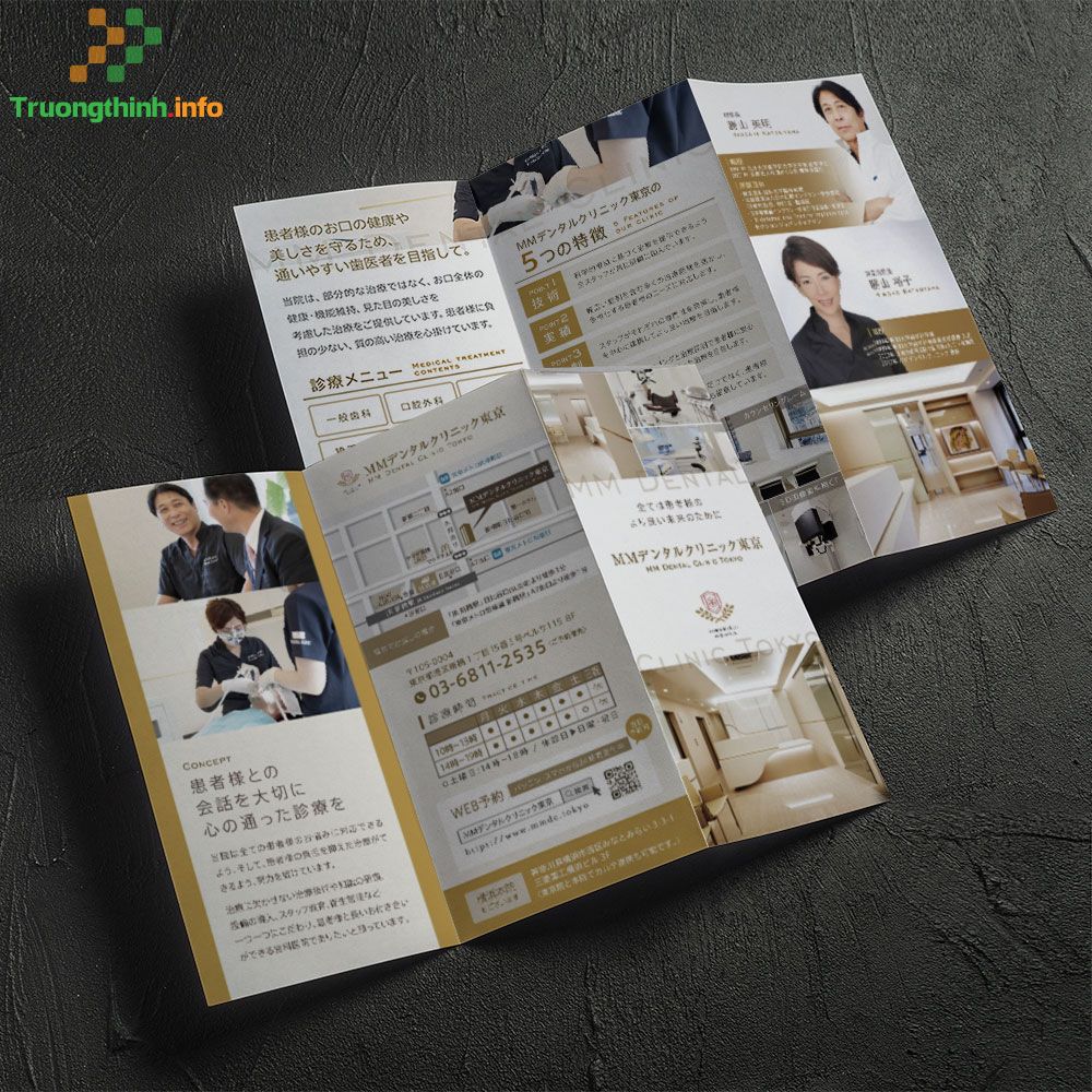 Dịch Vụ Thiết Kế Catalogue – Brochure Quận Bình Tân