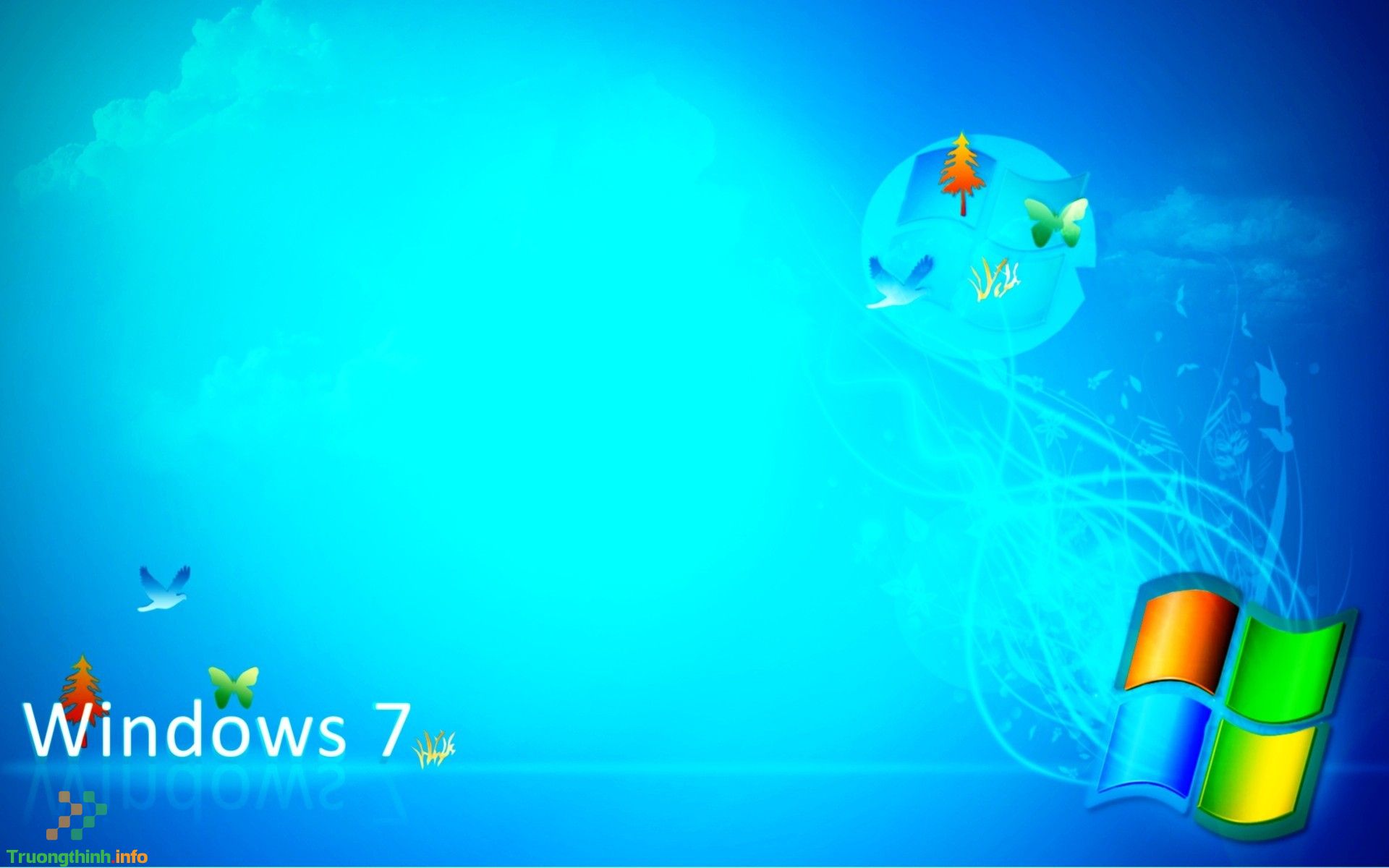 Dịch Vụ Cài Win Đường Số 8 Quận 7