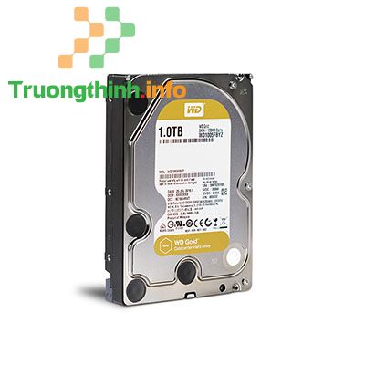 Top 10 Địa Chỉ Bán Ổ cứng HDD Western Giá Rẻ Nhất Ở Quận Bình Tân