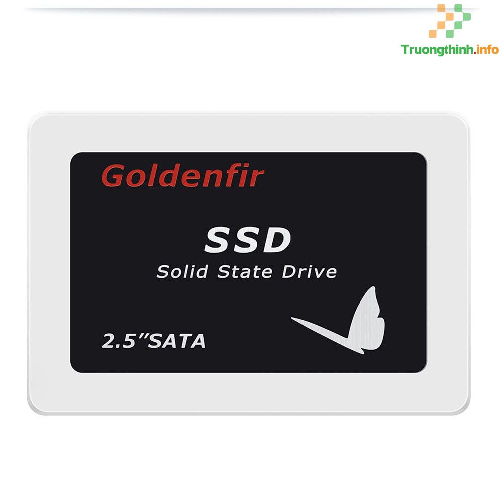 Top 10 Địa Chỉ Bán Ổ cứng SSD 480GB-1TB Giá Rẻ Nhất Ở Quận 9