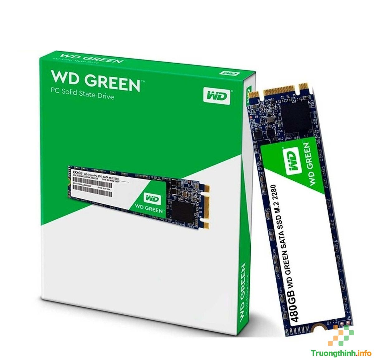 Top 10 Địa Chỉ Bán Ổ cứng SSD 480GB-1TB Giá Rẻ Nhất Ở Quận Thủ Đức