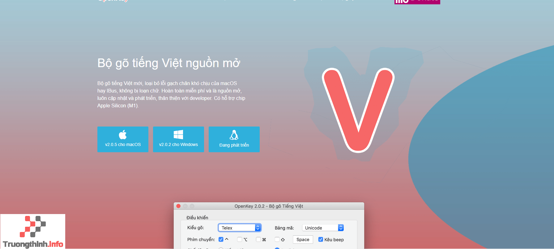 Bộ gõ tiếng việt OpenKey Tải về miễn phí | Trường Thịnh Group 