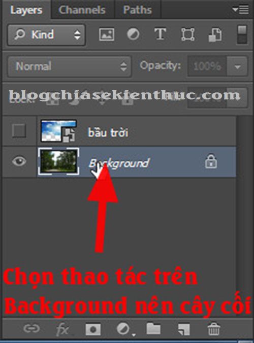 tach-hinh-anh-ra-khoi-nen-trong-photoshop (5)