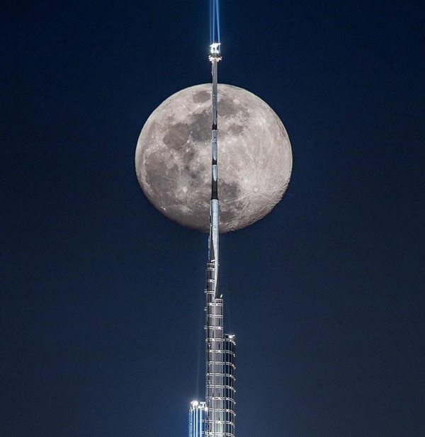 Burj Khalifa được thiết kế lấy cảm hứng từ hình dáng của loài hoa sa mạc Hymenocallis