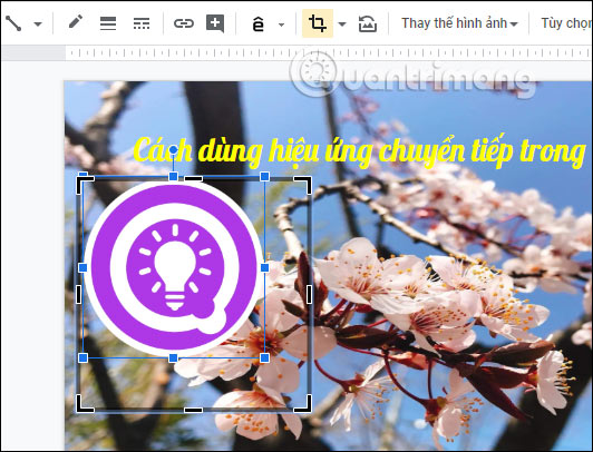 Căn chỉnh hình ảnh 