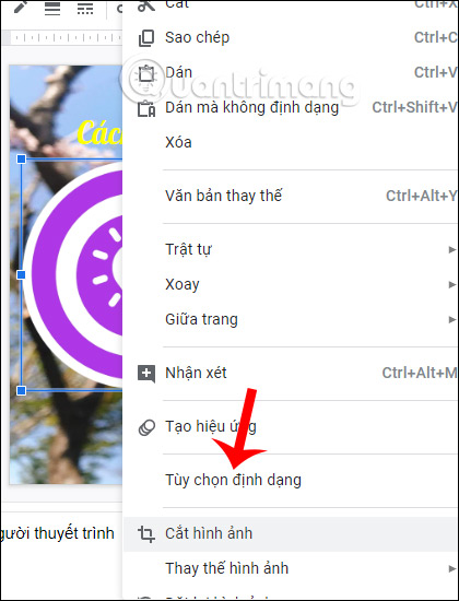 Tùy chọn định dạng 