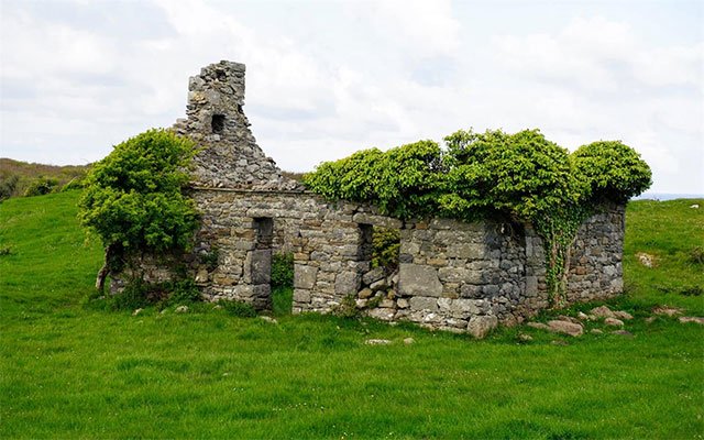 Reclaimed by Nature