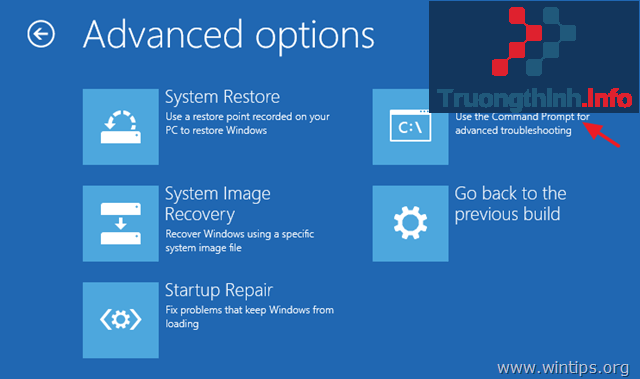 Command Prompt