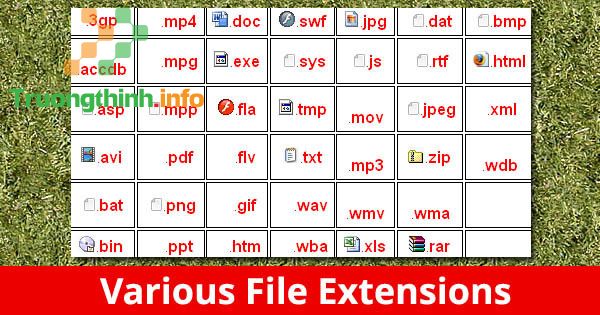 Đuôi của các file 