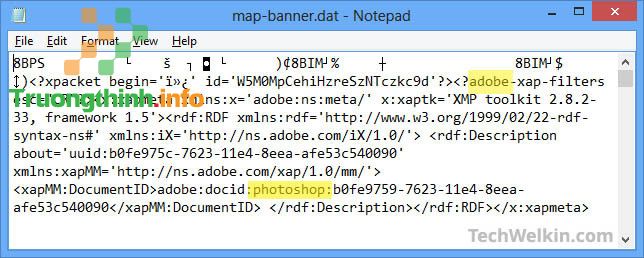 Mở file .DAT trên Notepad