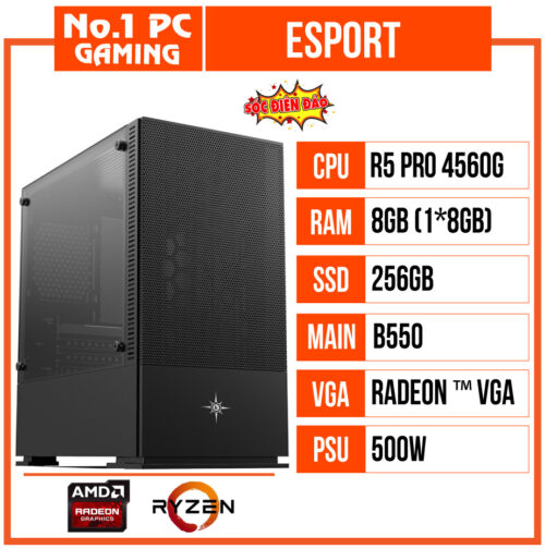 PC GAMING ESPORT