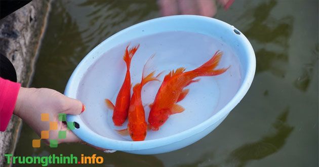 Các phong tục ngày Tết Nguyên Đán cổ truyền 3 miền Bắc, Trung, Nam