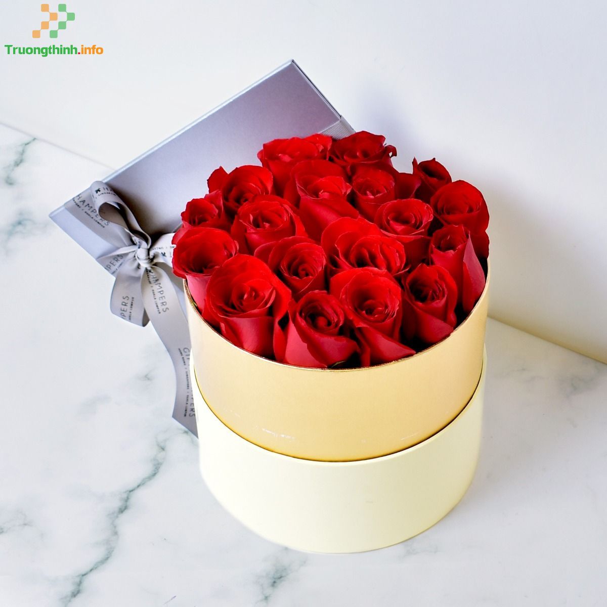 Hoa hồng tặng Valentine, 8/3 có ý nghĩa gì? Những mẫu hoa hồng Valentine, 8/3 đẹp cho người ấy