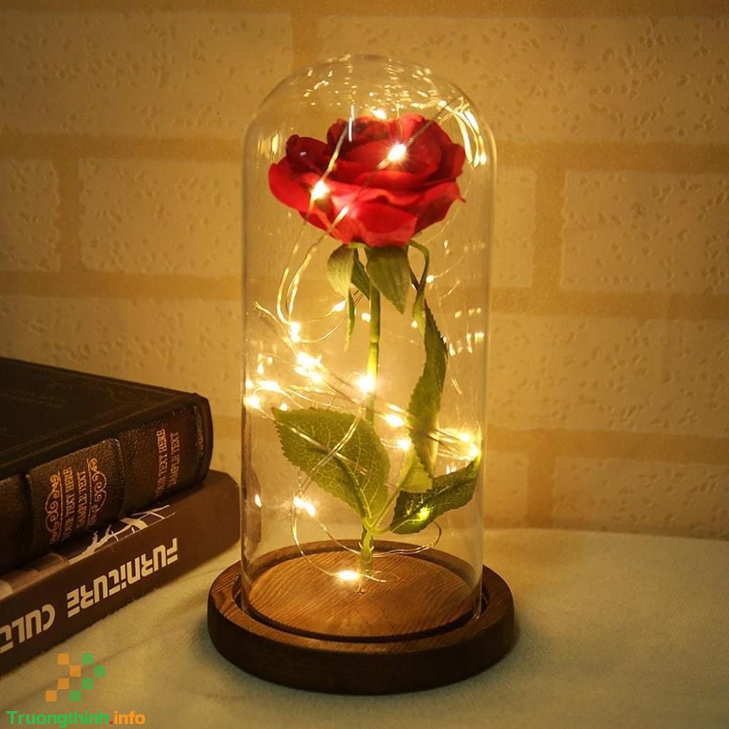 Hoa hồng tặng Valentine, 8/3 có ý nghĩa gì? Những mẫu hoa hồng Valentine, 8/3 đẹp cho người ấy