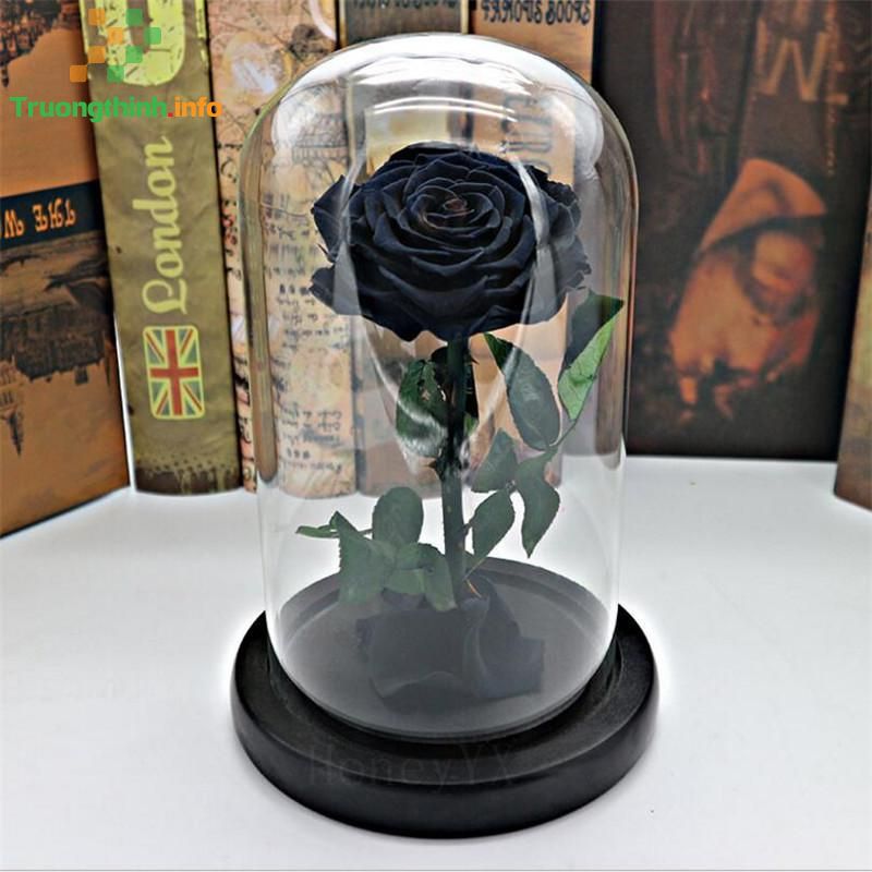 Hoa hồng tặng Valentine, 8/3 có ý nghĩa gì? Những mẫu hoa hồng Valentine, 8/3 đẹp cho người ấy