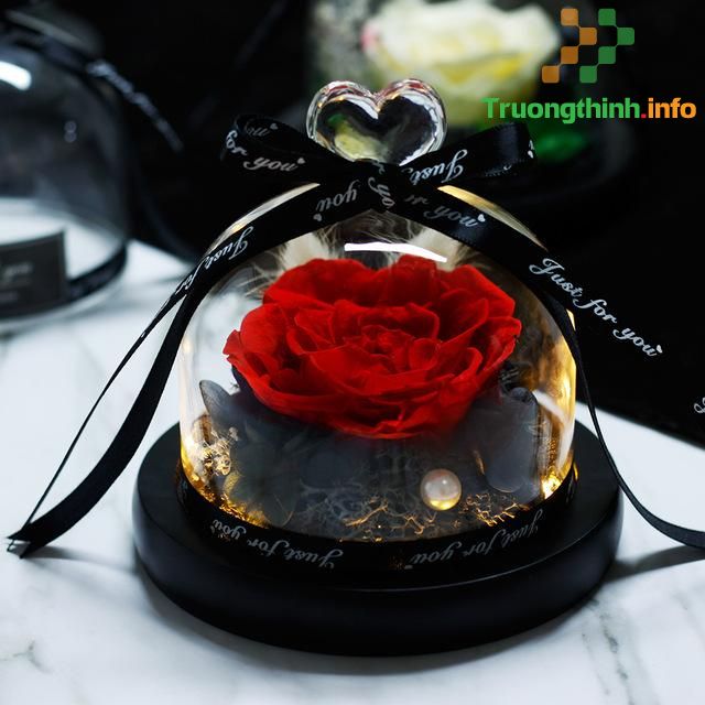 Hoa hồng tặng Valentine, 8/3 có ý nghĩa gì? Những mẫu hoa hồng Valentine, 8/3 đẹp cho người ấy