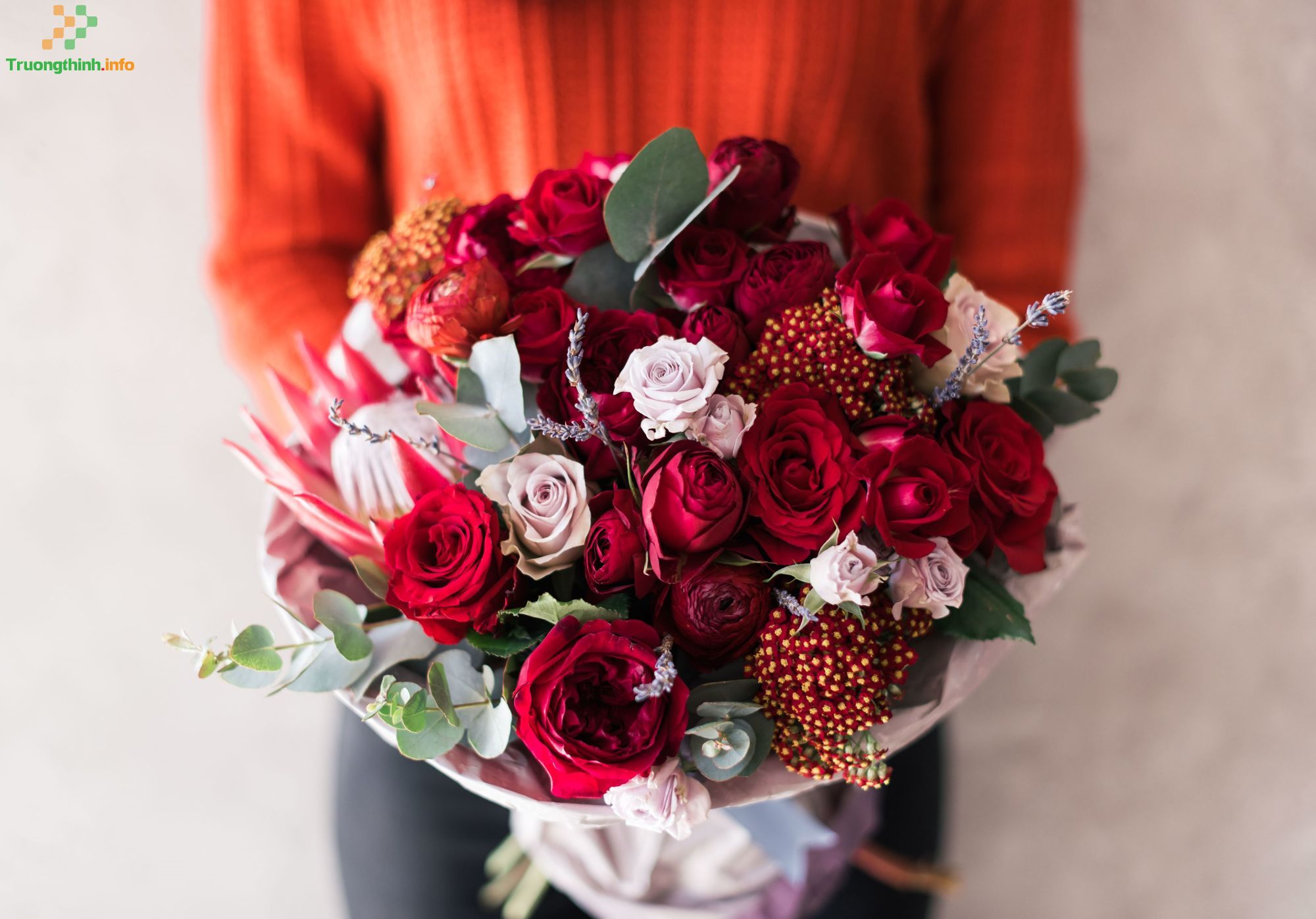 Hoa hồng tặng Valentine, 8/3 có ý nghĩa gì? Những mẫu hoa hồng Valentine, 8/3 đẹp cho người ấy