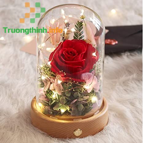 Hoa hồng tặng Valentine, 8/3 có ý nghĩa gì? Những mẫu hoa hồng Valentine, 8/3 đẹp cho người ấy