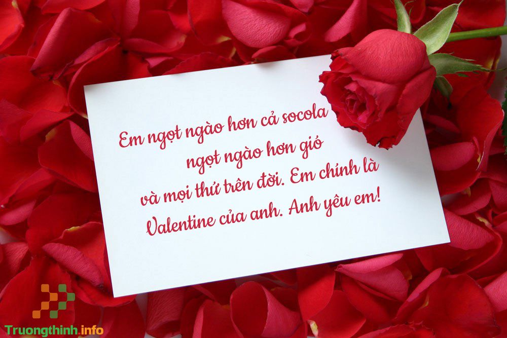 Hoa hồng tặng Valentine, 8/3 có ý nghĩa gì? Những mẫu hoa hồng Valentine, 8/3 đẹp cho người ấy