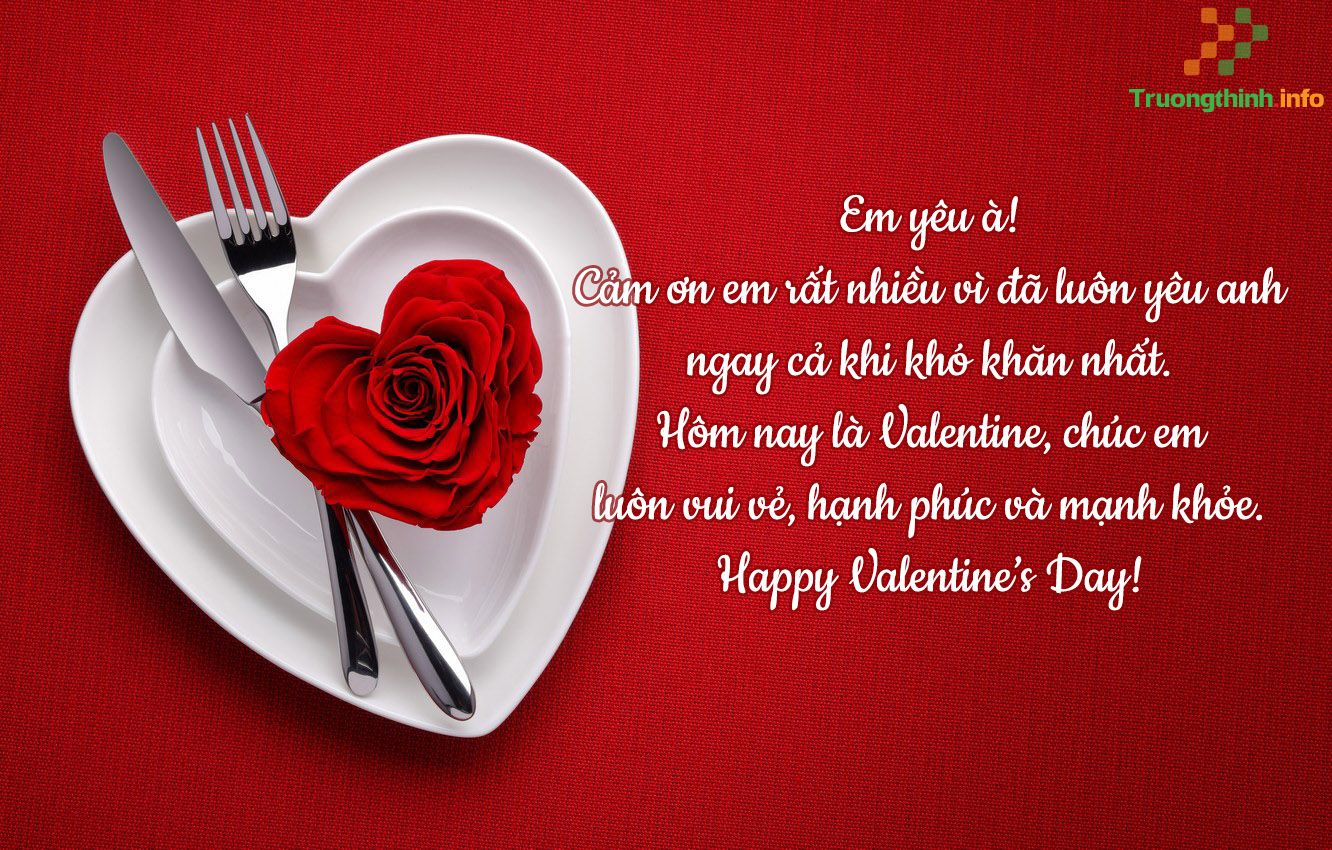 Hoa hồng tặng Valentine, 8/3 có ý nghĩa gì? Những mẫu hoa hồng Valentine, 8/3 đẹp cho người ấy