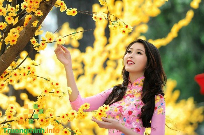 Những câu nói hay về Tết Nguyên Đán, ngày đầu năm mới