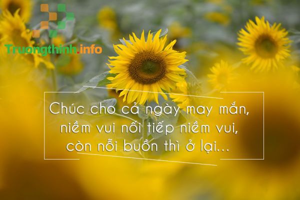 Stt chào ngày mới đầy năng lượng hay, stt chào buổi sáng hài hước