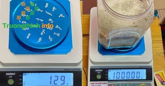 1kg gạo, 1kg đường có bao nhiêu hạt?