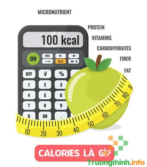 Calo là gì? Calories là gì? Kcal là gì?