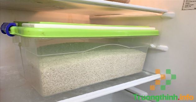 Bật mí 6 cách bảo quản gạo được lâu không bị mốc hay mối mọt