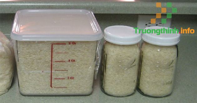 Bật mí 6 cách bảo quản gạo được lâu không bị mốc hay mối mọt