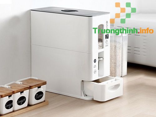 Bật mí 6 cách bảo quản gạo được lâu không bị mốc hay mối mọt