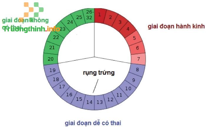 Quan hệ vào ngày rụng trứng có thai không?