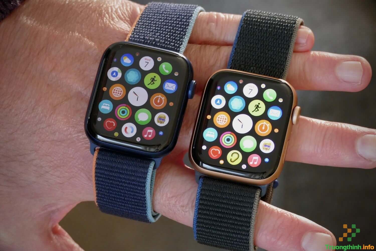 So sánh Apple Watch SE và Series 6 khác gì nhau, loại nào tốt hơn?