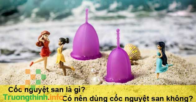 Cốc nguyệt san là gì? Có nên dùng cốc nguyệt san không?