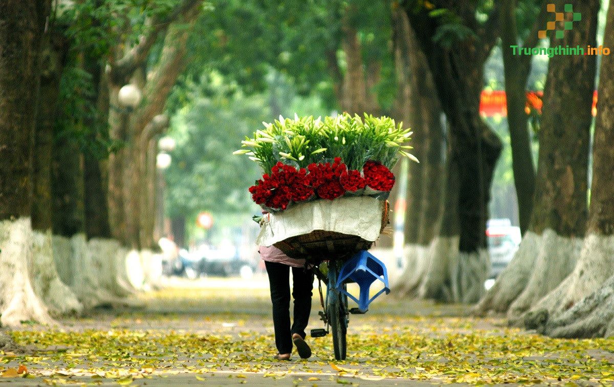 Những câu thơ, bài thơ ngắn hay về mùa thu