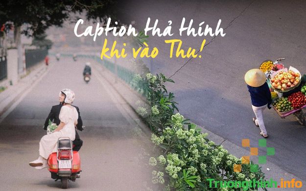 Stt thả thính mùa thu hay, những câu thả thính mùa thu lãng mạn