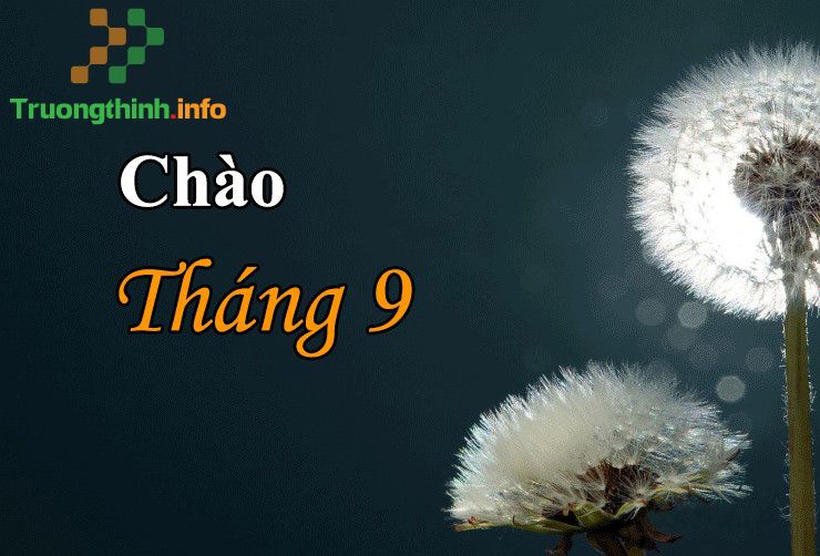 Stt chào tháng 9 yêu thương hay, hình ảnh chào tháng 9 đẹp