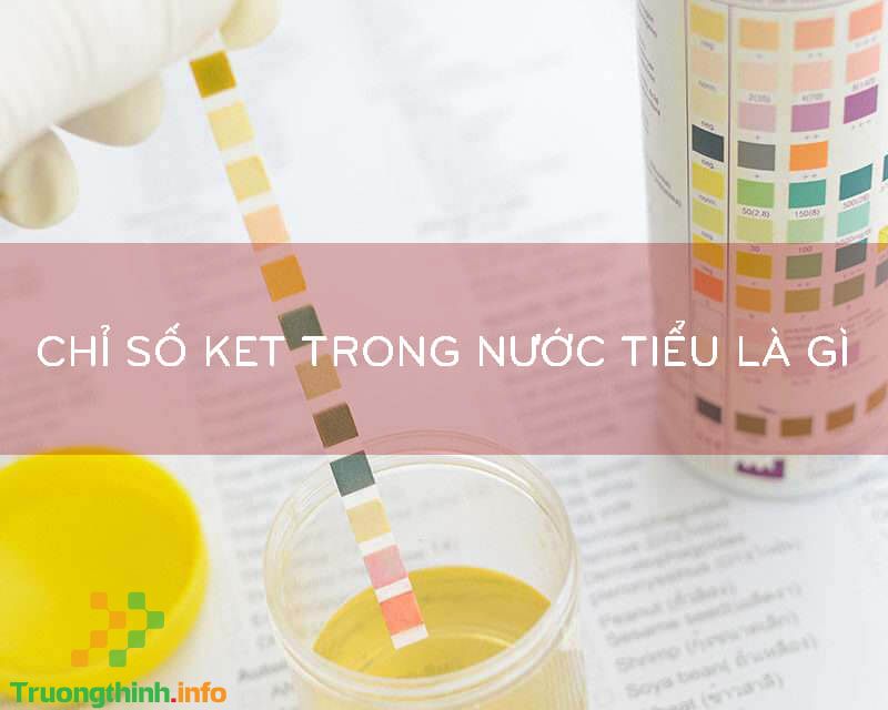 Ketone là gì? Tại sao nên thường xuyên theo dõi chỉ số ketone? 