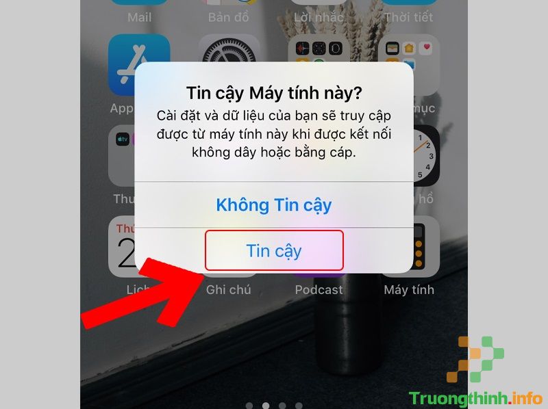 Cách tải và cài đặt nhạc chuông cho iPhone cực đơn giản, nhanh chóng